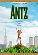 Ants